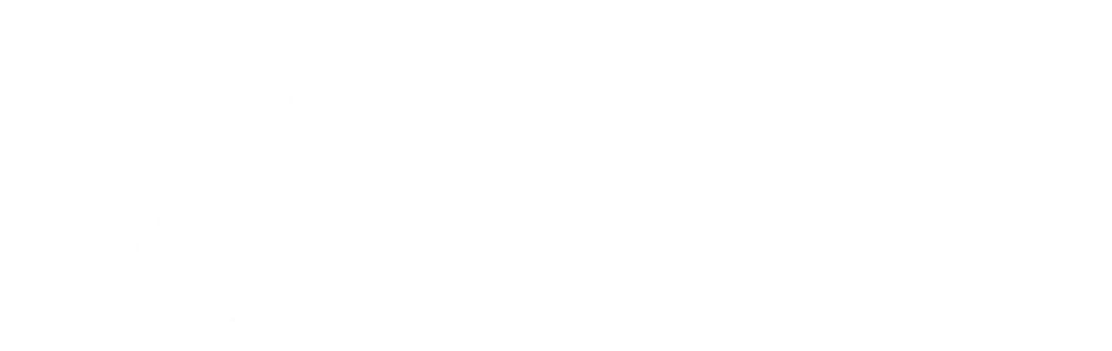 Hugo Theme Starter Logo